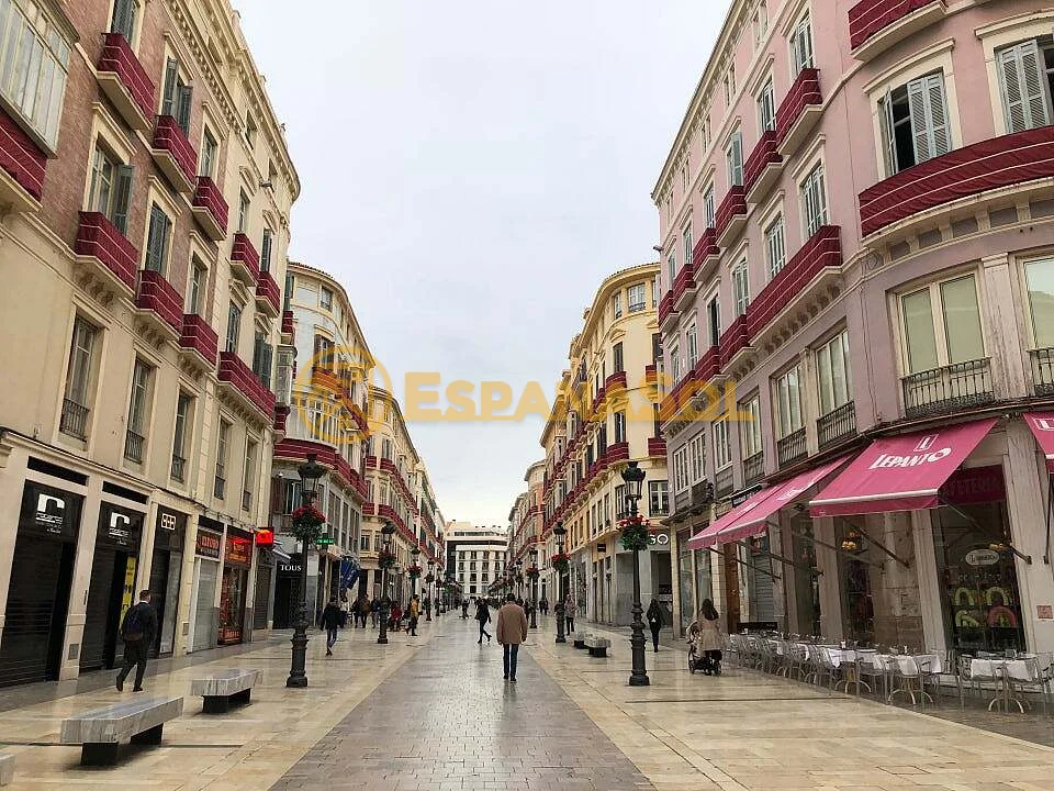 Wohnung mit 4 Balkonen nach Renovierung — Zentrum Málagas in Málaga (zdjÄ™cie 5)